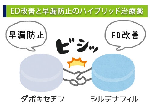 ED改善と早漏防止のハイブリッド治療薬
