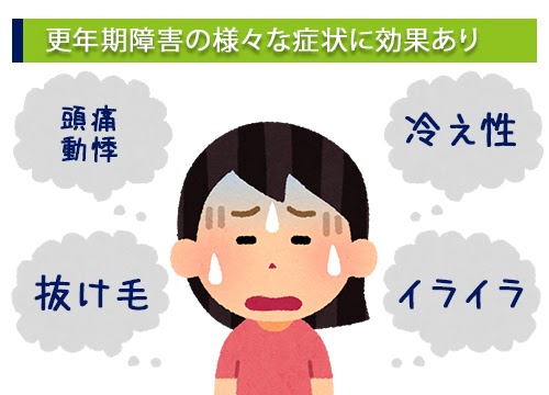 プレマリン通販 更年期障害治療薬 女性ホルモン剤 薬ストア