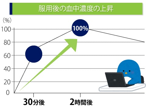 服用後の血中濃度の上昇